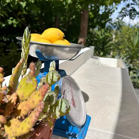 87029house Country house Scalea