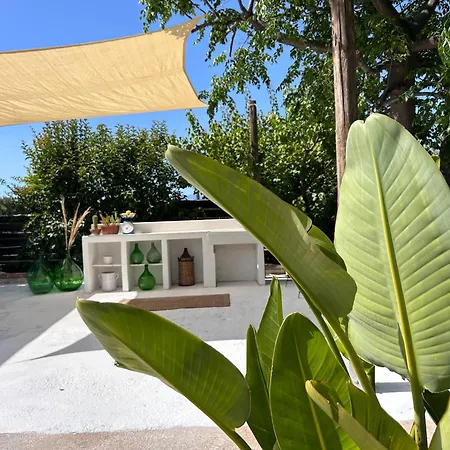 87029house סקליאה