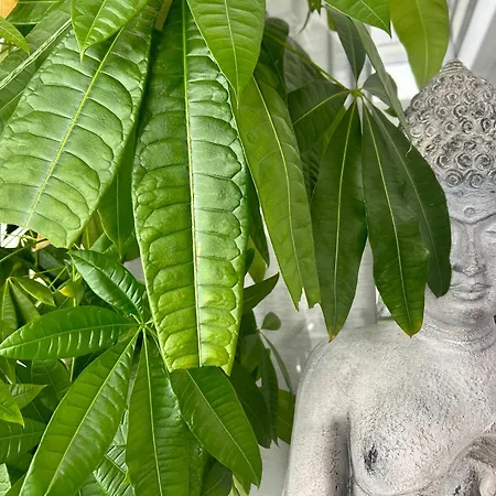 Country house 87029house Scalea