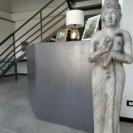 87029house سكاليا