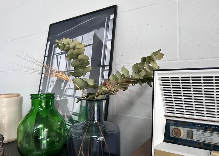 87029house * 斯卡莱阿