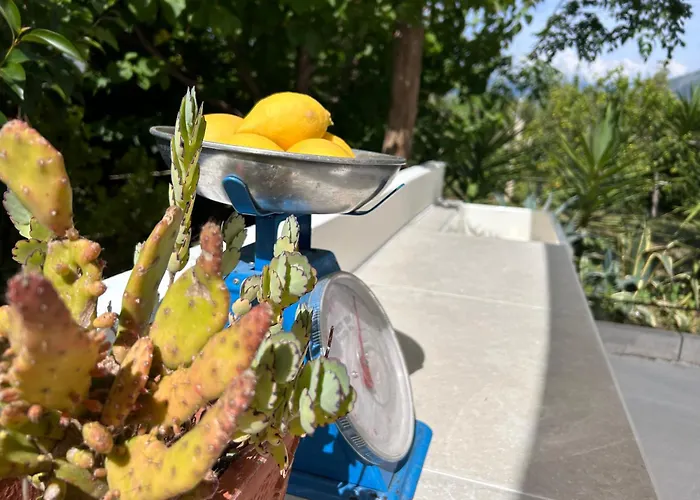 87029house 乡村民宿 斯卡莱阿