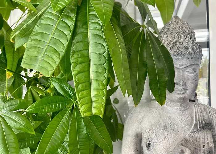 Casa rural 87029house Scalea