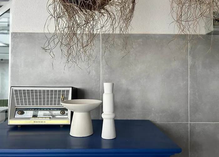 87029house 斯卡莱阿