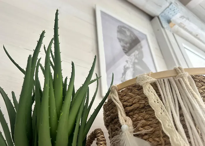 87029house 乡村民宿