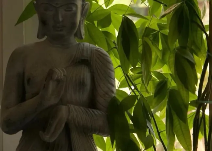 87029house 斯卡莱阿